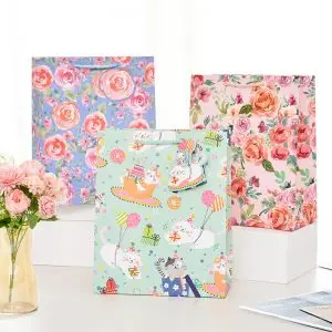 Top 10 paper bag manufacturer in China