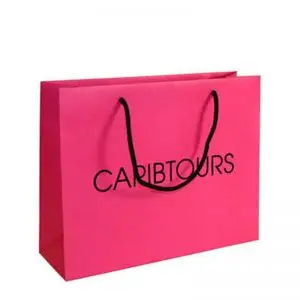Wholesale Luxury Paper Bags with ribbon handle